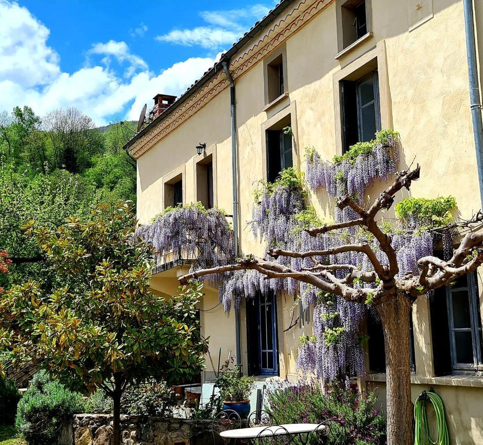 La Maison Des Tisserandes Montsegur Bagian luar foto