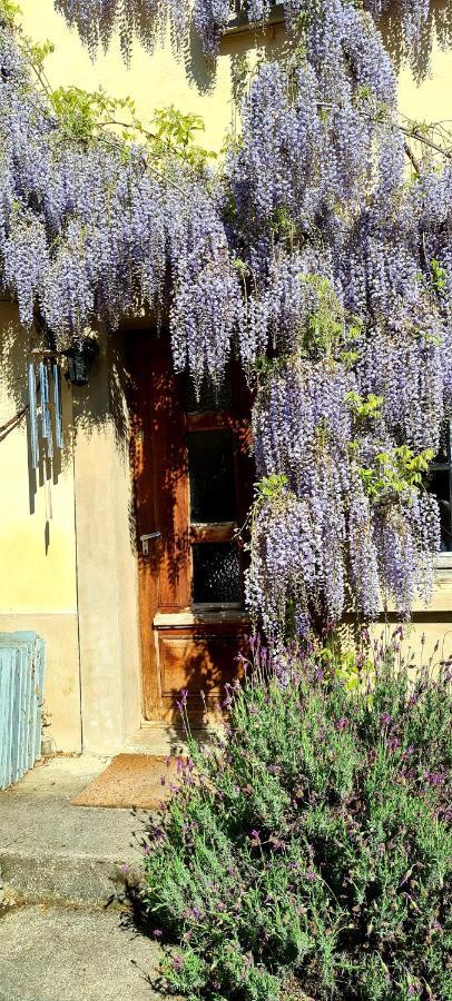 La Maison Des Tisserandes Montsegur Bagian luar foto